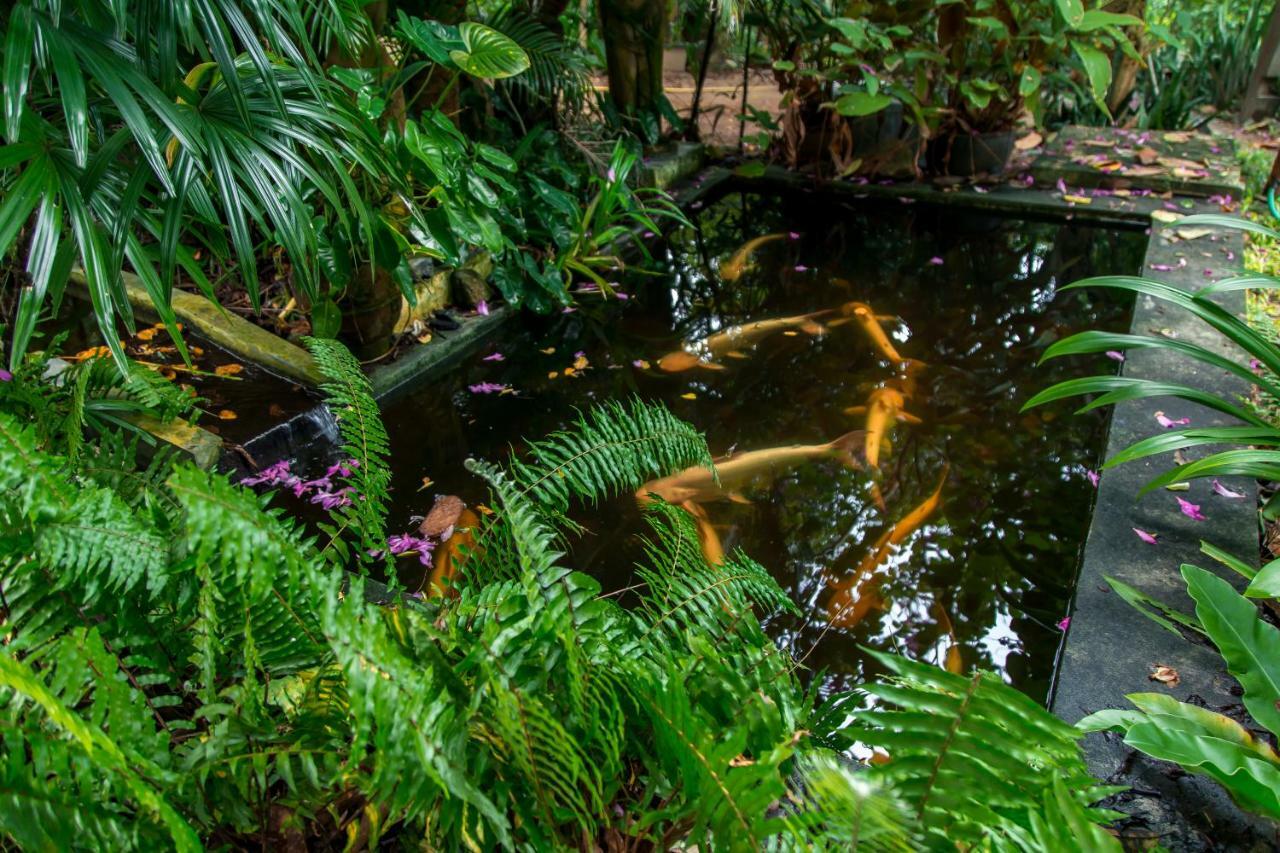 Loyfa-Holina Natural Resort Phangang-sziget Kültér fotó